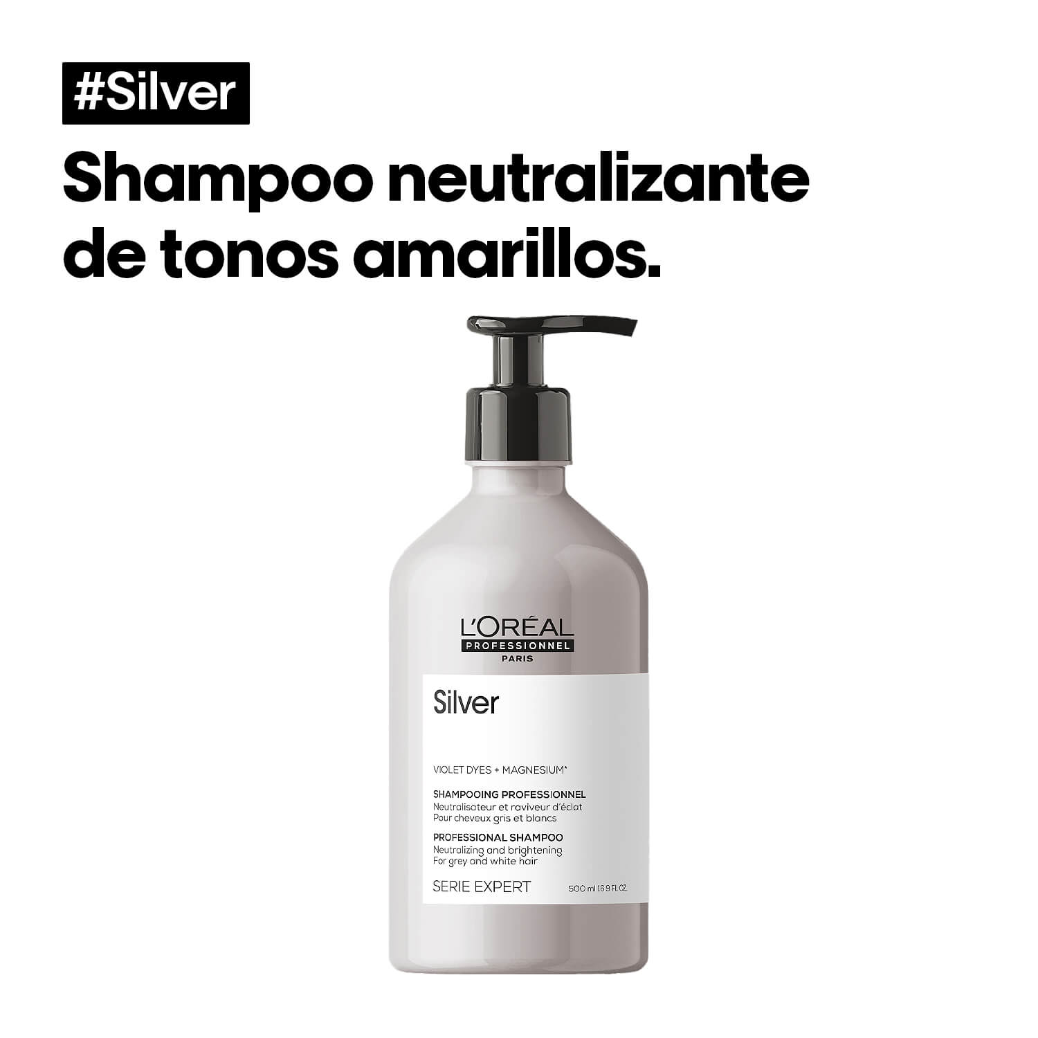 SHAMPOO SILVER (SHAMPOO PARA CABELLO GRIS, PLATINADO O CON CANAS)
